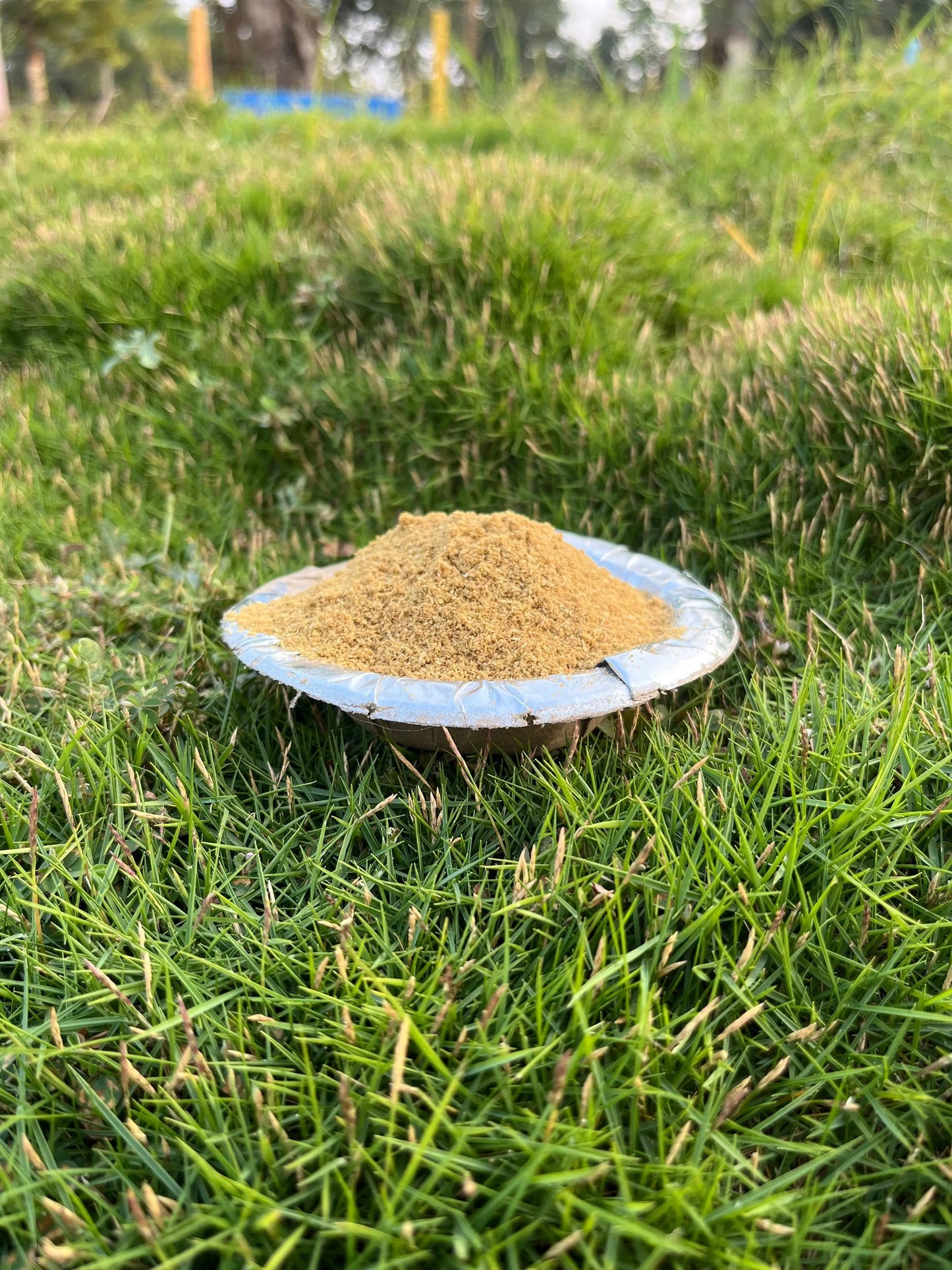 Kondanaar Coriander Powder - SHG Bazaar