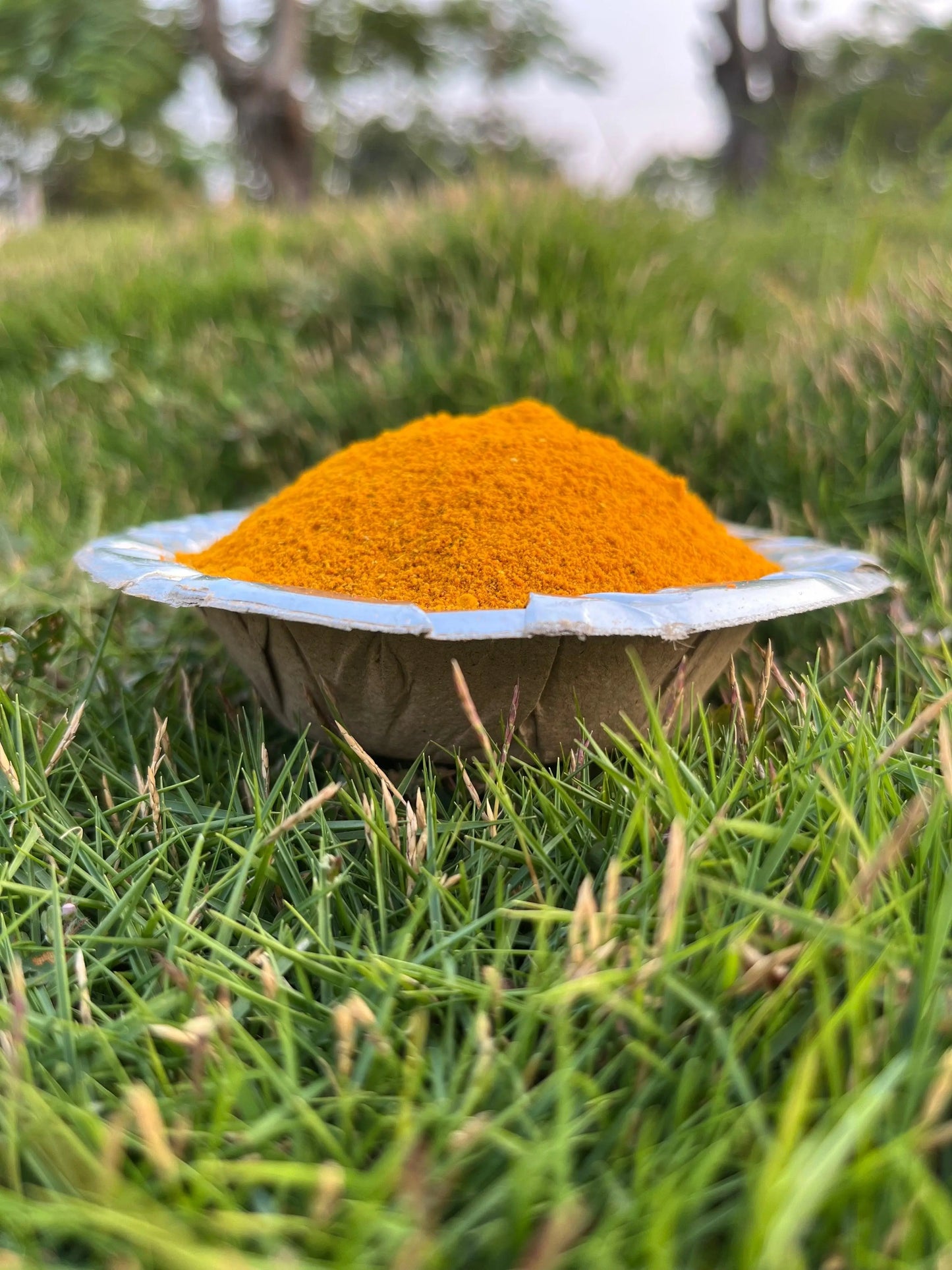 Kondanaar Turmeric Powder - SHG Bazaar