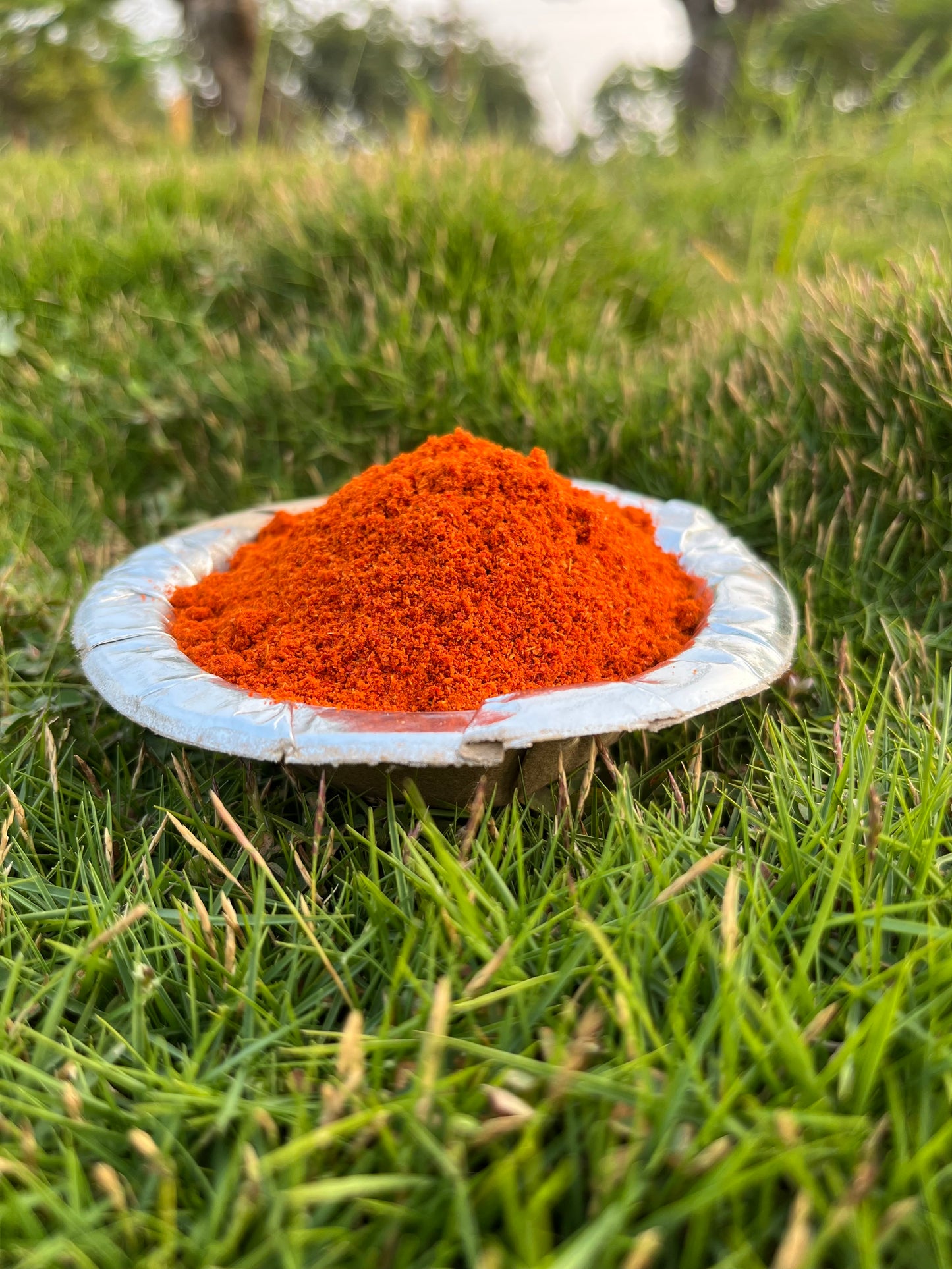 Kondanaar Red chilli